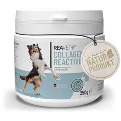Collagen Reactive - ReaVET Pulver 250 g