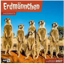 Ackermann Wandkalender Erdmännchen Kalender 2027 - 30x30 - Art12 Niedlicher Tier-Kalender im weiß