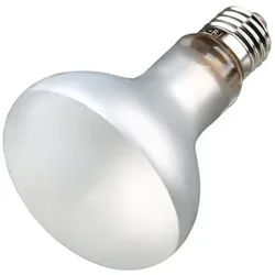 ProSun Mixed D3 Tungsten Lamp 70W ø 80 x 108mm E27