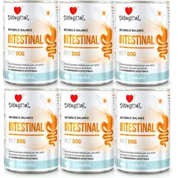 Disugual Karma Nassfutter für Hunde – Veterinär INTESTINAL Sola (für ausgewachsene Hunde) 6x400g