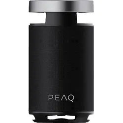 PEAQ PPS 170 Partyspeaker, Schwarz