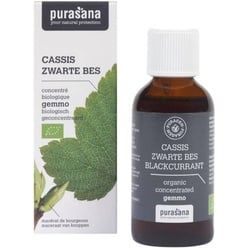 purasana Puragem Schwarze Johannisbeere