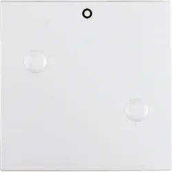 Berker Wippe anschraubbar Aufdruck "0", pws 15731909