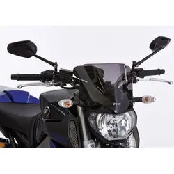 ERMAX Naked-Bike-Scheibe Acrylic (PMMA)