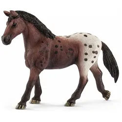 Schleich® Spielfigur Tier - Appaloosa-Stute