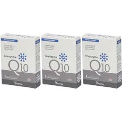 Nutrisanté Coenzyme Q10