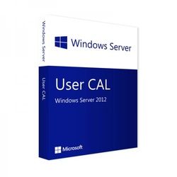 Windows Server 2012 | 25 User CALs | Blitzversand