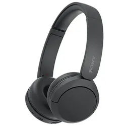 WH-CH520 - Black