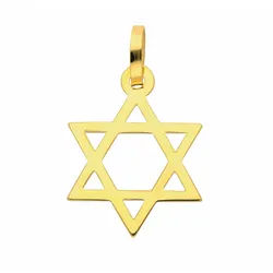 Adelia ́s Kettenanhänger Damen 585 Gold Anhänger Davidstern, Goldschmuck für Damen goldfarben