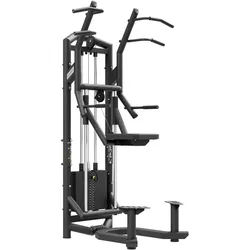 Dip & Pull-Up Assist UF-009 - UpForm
