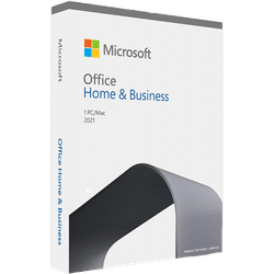 Office 2021 Home and Business ; Windows System