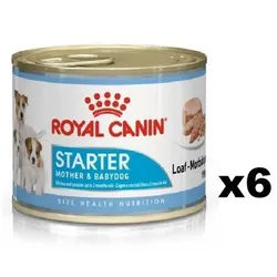 ROYAL CANIN Starter Mousse Mother & Babydog 6x195g