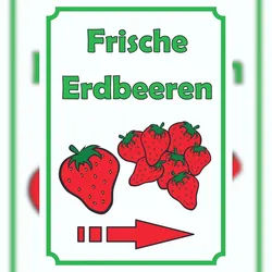 HB-Druck Verkaufsschild Schild ErdbeerenHochkant mit Pfeil rechts A4 Rückseite selbstklebend