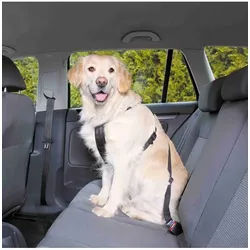 Car Harness Safety Belt L 70-90cm/25 mm Stomach Circum 70-90cm