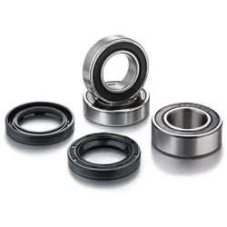 Factory Links Radlager-Kit
