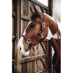 Kentucky Horsewear Geflochtene Nylon Führleine 2 m Bordeaux