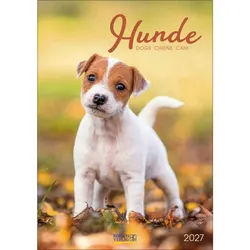 Korsch Verlag Wandkalender Hunde 2027