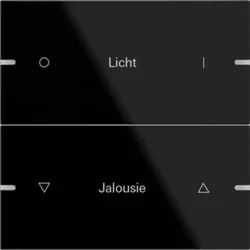 Gira 503205 Wippenset 2-fach individuell Tastsensor4 TS4 Glas Schwarz