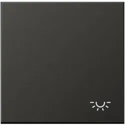Jung AL2990LAN Wippe, Symbol Licht, Aluminium lackiert, Serie LS, anthrazit