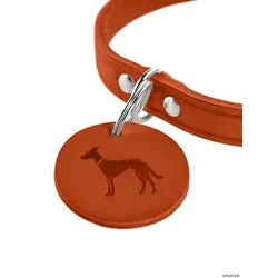 HUNTER Halsband Aalborg S (42), orange