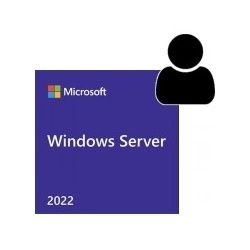 Microsoft Windows Server 2022 5 User Benutzer CAL SB/OEM, Englisch