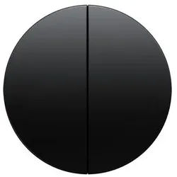 Berker 16232045 Wippe 2-fach R.1/R.3 schwarz glänzend