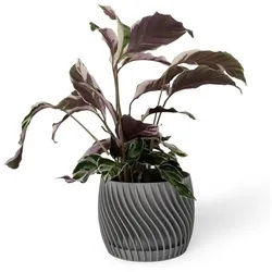 Shapes - Decorations Blumentopf The Plant Pot - Blumentopf mit integriertem Unterteller (Einzelmodell, 1 x Blumentopf mit integriertem Untersetzer), Spiraloptik grau Ø 18 cm