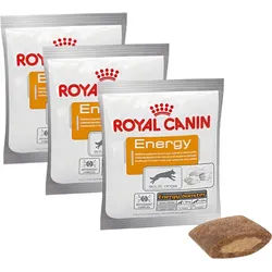 ROYAL CANIN Nutritional Supplement Energy 3x50g