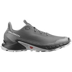 Salomon Herren Alphacross 5 grau 48.0