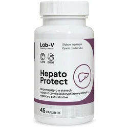 Lab-v Hepato Protect – Unterstützung der Leberfunktion für Hunde und Katzen, 45 Kapseln