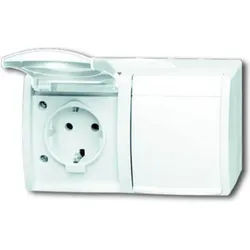 Busch-Jaeger Schuko-Steckdose 2-fach mit Klappdeckel 20/2 EW-54