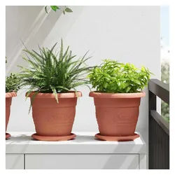 vidaXL Blumentopfuntersetzer, Runde Blumenplatte 24 pcs Ziegelrot Ø 14 x 2 cm Kunststoff rot