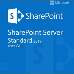 Microsoft SharePoint Server 2019 Standard User CAL