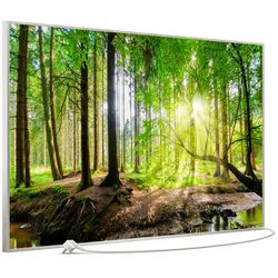 STEINFELD Heizsysteme Infrarotheizung Bild 900W, 120x74cm, Made in Germany, 7J Garantie, mit Thermostat, viele Motive silberfarben