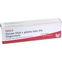 VISCUM MALI e planta tota 3% Unguentum 30 g