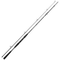 Daiwa Spinnrute, (2-tlg), Daiwa Seahunter X 2.70m 100-200g Dorsch-Pilkrute 2.7 m