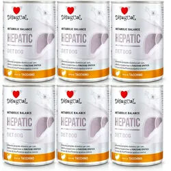 Disugual Veterinary Nassfutter für Hunde HEPATIC Truthahn (Erwachsene) 6x400g
