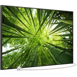 STEINFELD Heizsysteme Infrarotheizung Bild 900W, 120x74cm, Made in Germany, 7J Garantie, mit Thermostat, viele Motive schwarz