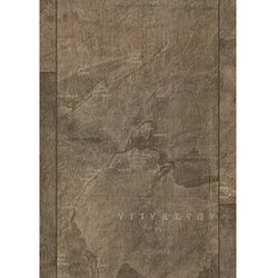 EGGER Laminat Handmuster, Travel the World (EHC015), BxL: 246 x 297 mm - braun