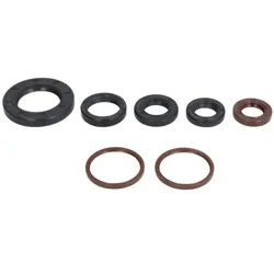 Motorsimmerringsatz ATHENA P400485400172