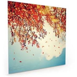 Primedeco Küchenrückwand Küchenrückwand Spritzschutz Glas mit Motiv Fliegende Blätter im Herbst 70 cm x 70 cm