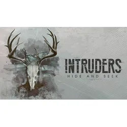 Intruders Hide and Seek