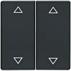 Berker Wippe mit Aufdruck Symbol Pfeile (anthrazit, samt)