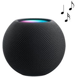 Apple HomePod Mini Smart Speaker anthrazit