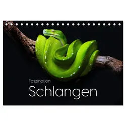 CALVENDO Wandkalender Faszination Schlangen (Tischkalender 2026 DIN A5 quer), CALVENDO Monat 21.0 cm x 1 cm x 14.8 cm