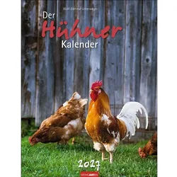 Wandkalender Der Hühnerkalender 2027