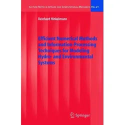 Efficient Numerical Methods And Information-Processing Techniques For Modeling Hydro- And Environmental Systems - Reinhard Hinkelmann, Kartoniert (TB)