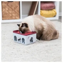 TRIXIE Tier-Intelligenzspielzeug Trixie Rod Box Katzenspiel