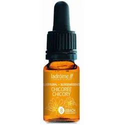 Ladrôme Chicorée Nr. 8