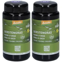 Naturkraftwerke Gerstengras Pulver